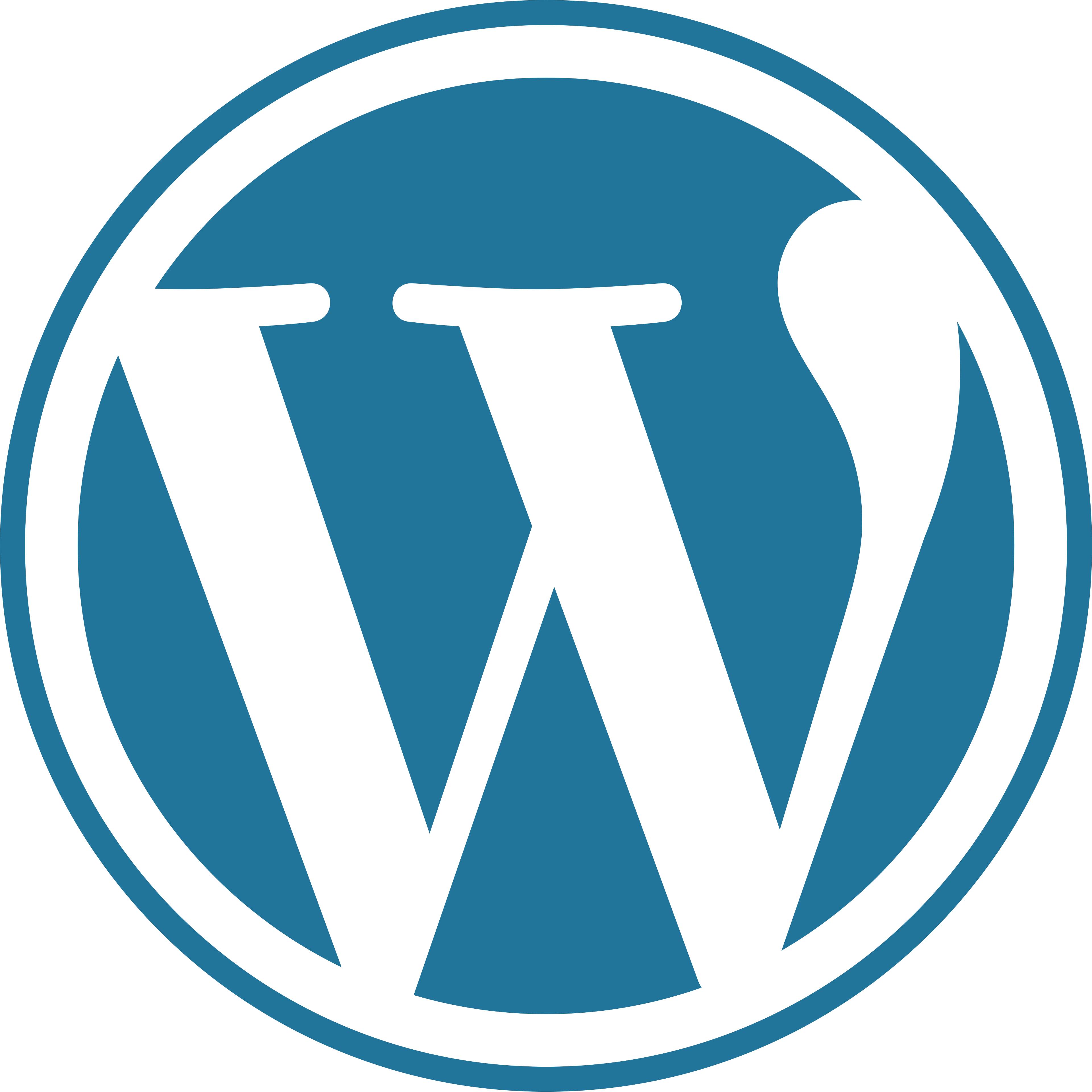 language_icon